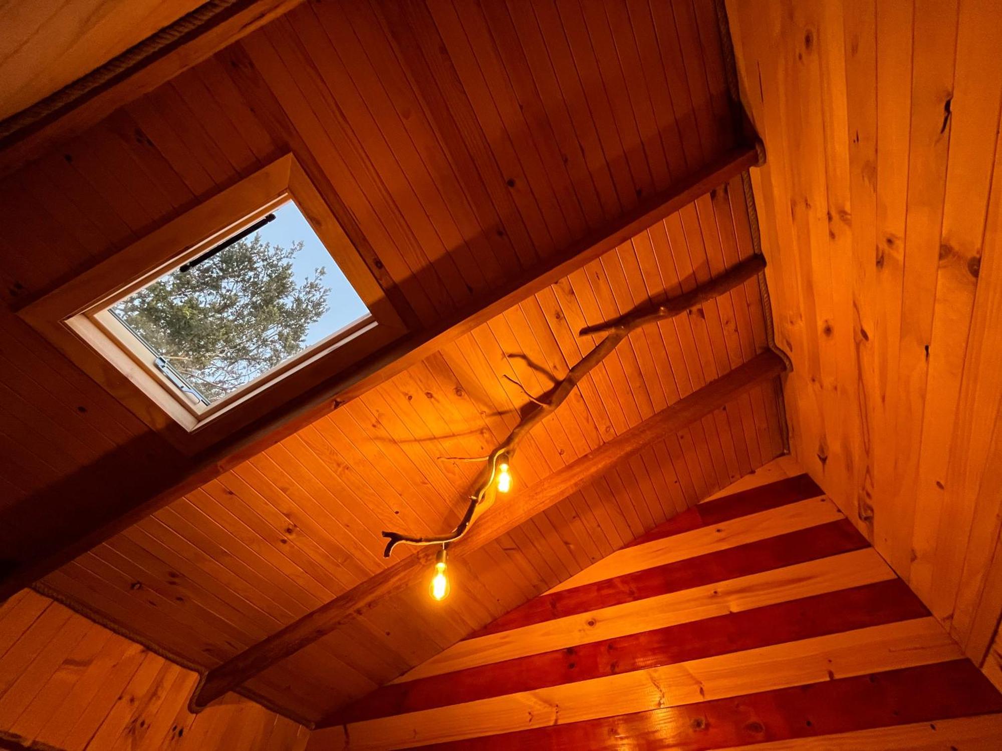 Bed and Breakfast Patagonia Nativa Cochamo Exterior foto